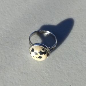 Dalmatian Jasper ring
